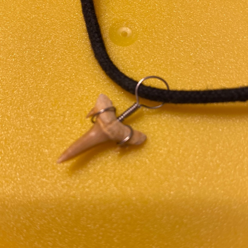 Tooth necklace